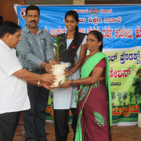 Distribution of
