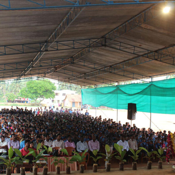 Distribution of